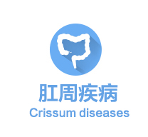 肛周疾病